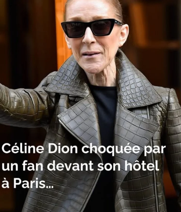 Céline Dion choquée par un fan devant son hôtel à Paris : « Quand même ! »