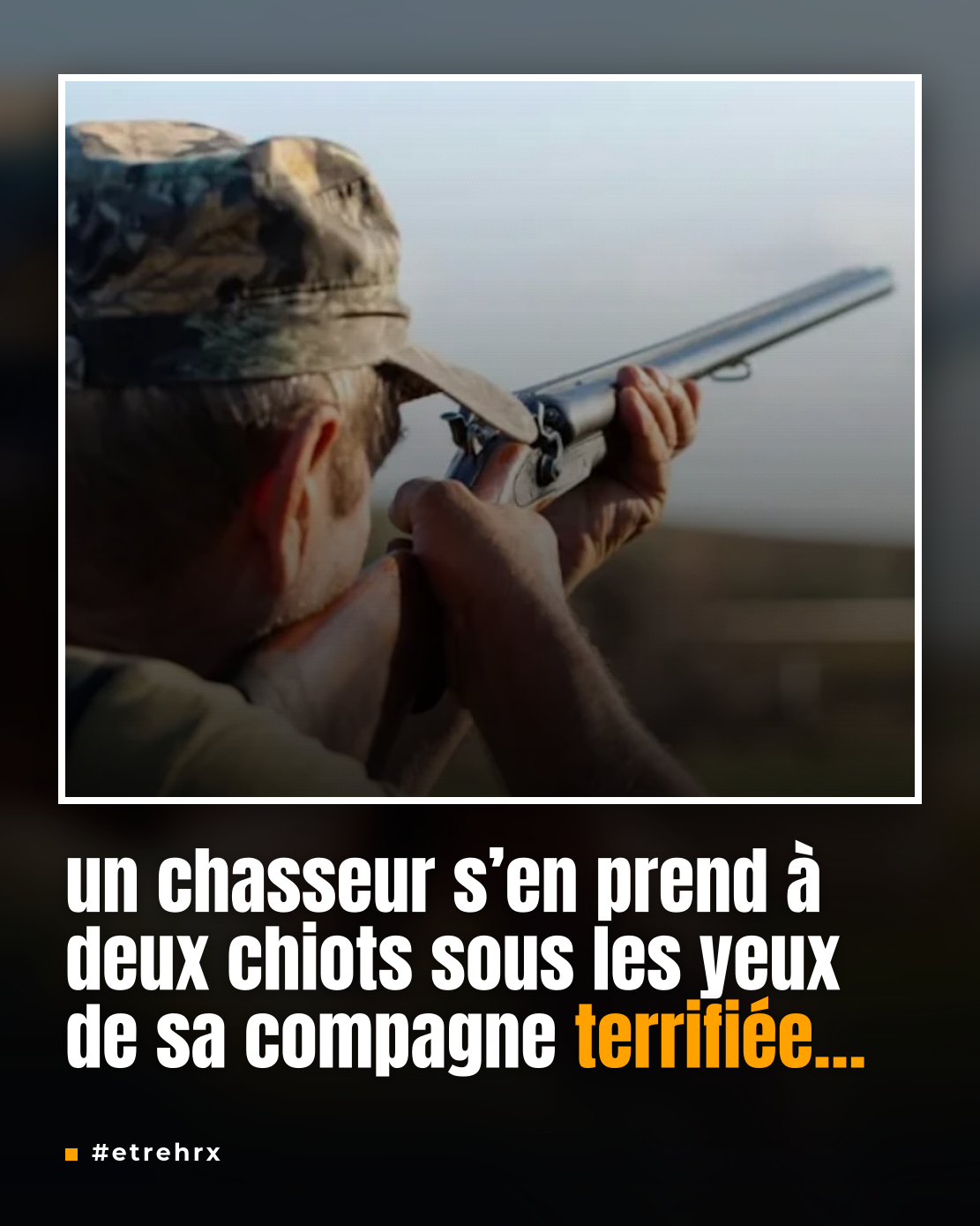 « Tu es incapable de faire ce que je fais » : Un chasseur abat deux chiots sous les yeux de sa compagne terrifiée