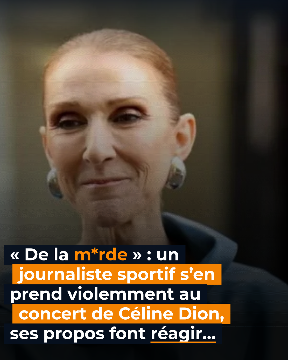 « De la m*rde » : le concert de Céline Dion dézingué