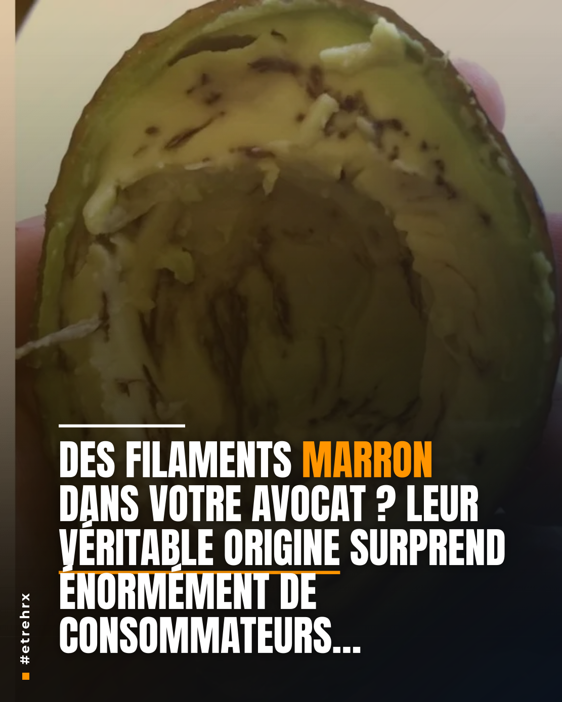 Filaments marron dans les avocats : les gens n’en reviennent pas lorsqu’ils