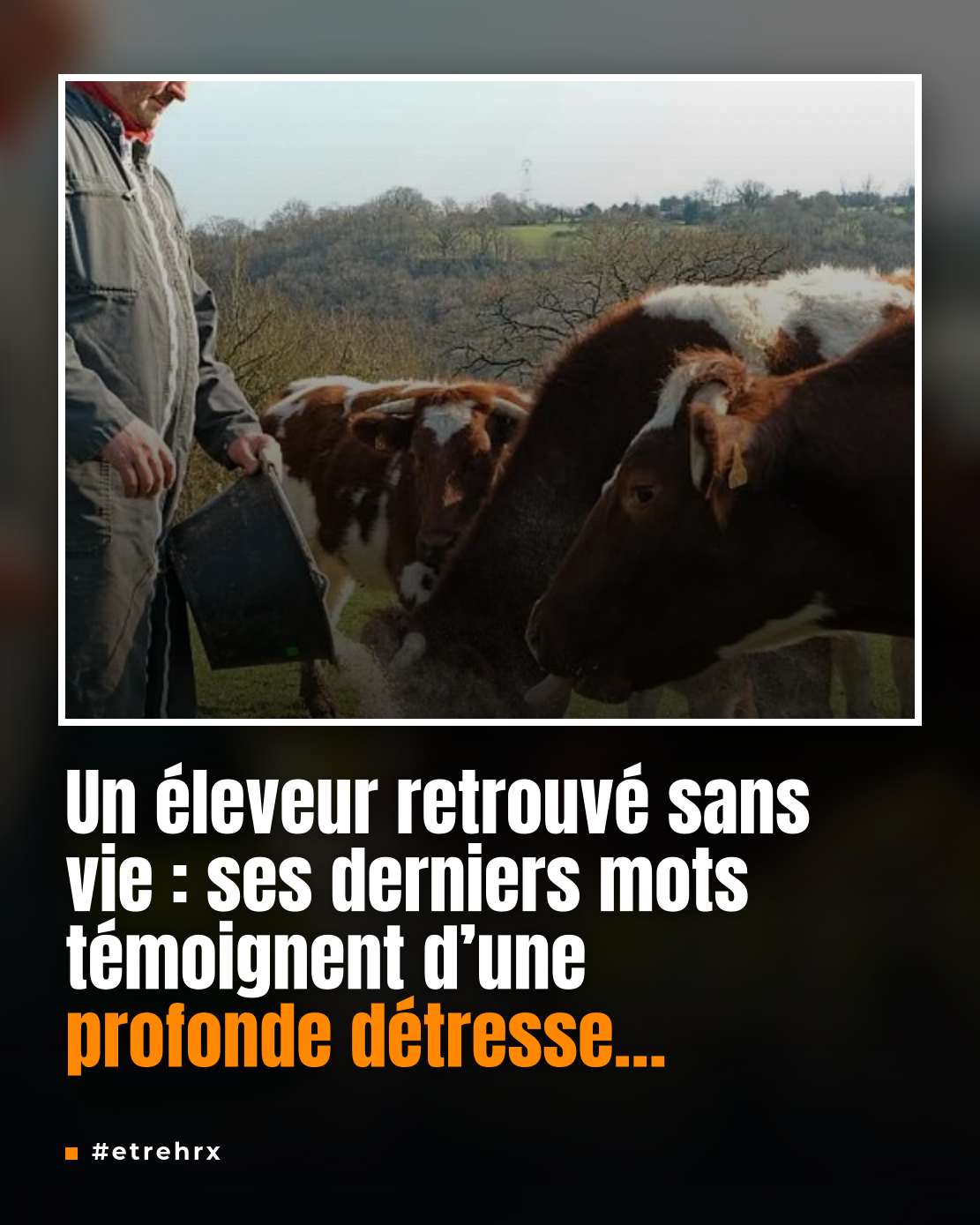 « Ils auront du sang sur les mains » : les derniers
