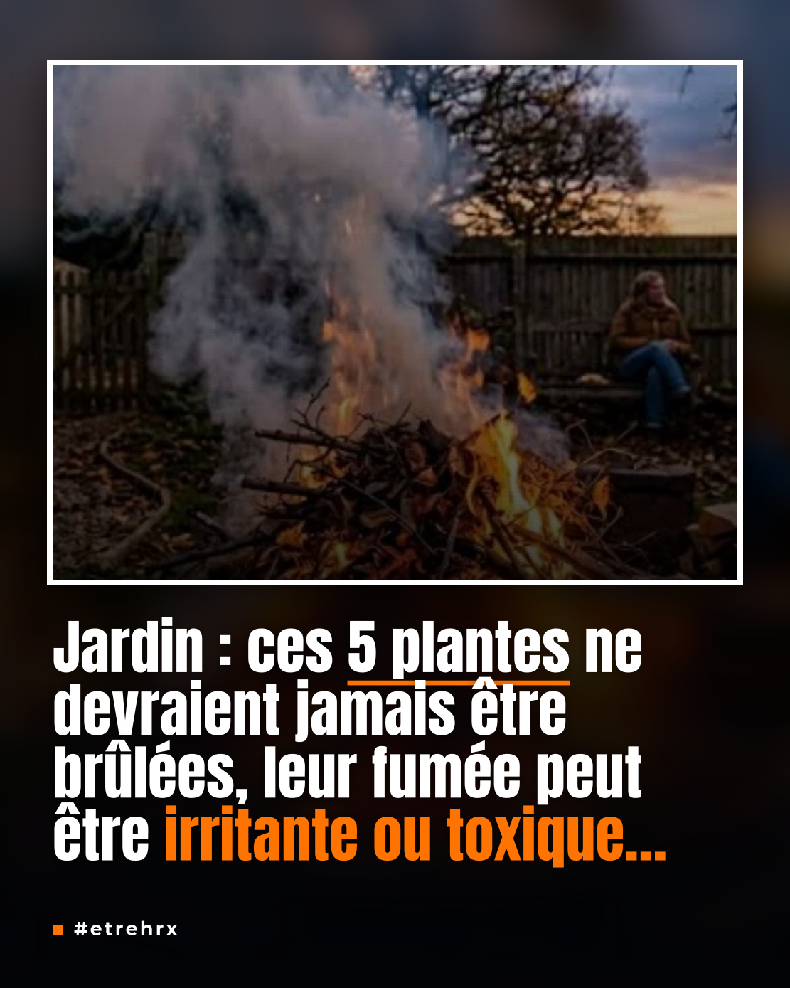 Ces 5 plantes du jardin qu’il ne faut jamais brûler : leur