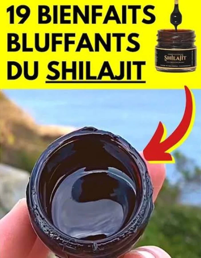 19 bienfaits bluffants du shilajit sur la santé