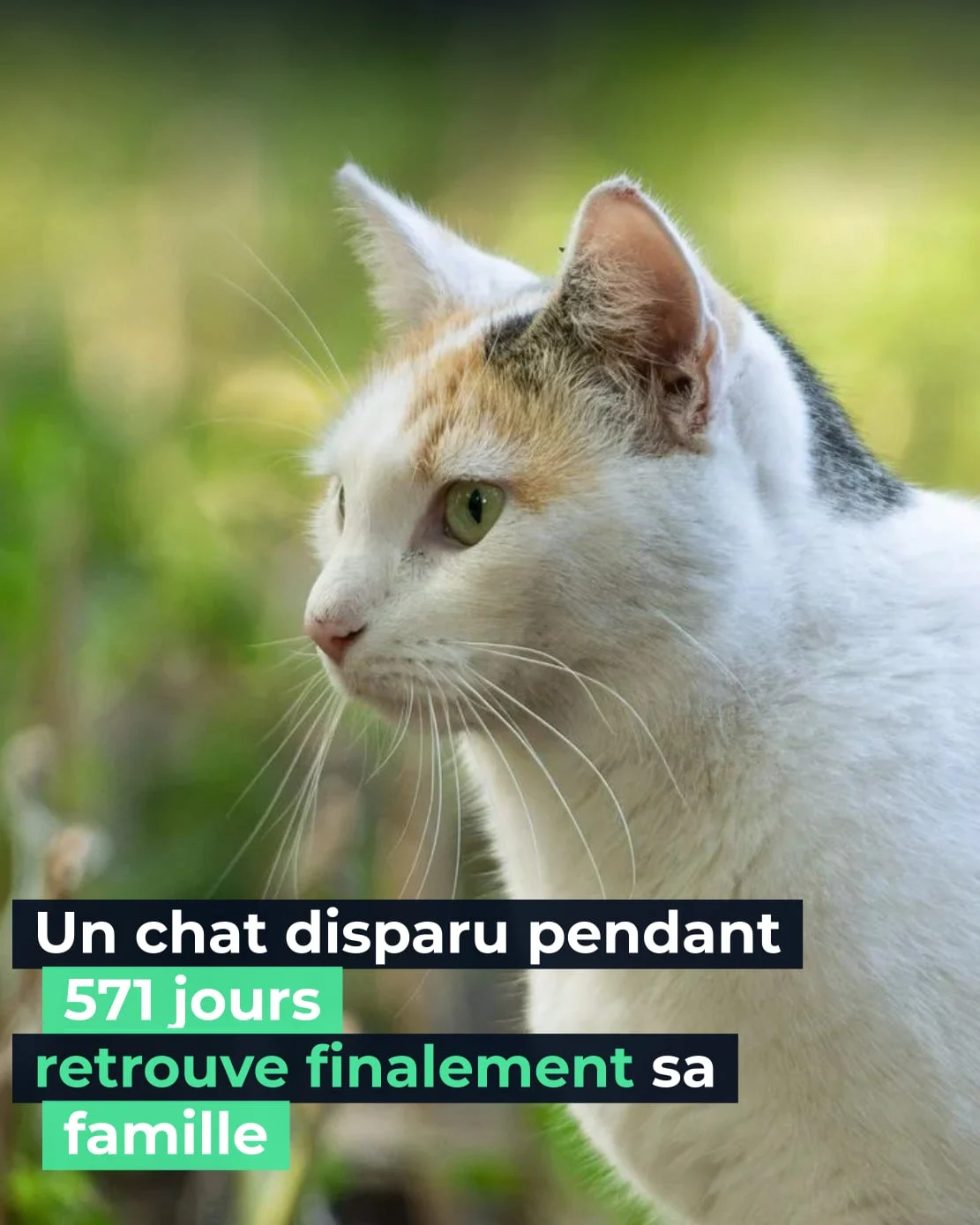 À plusieurs kilomètres de son domicile… Une situation qui soulève de nombreuses questions !